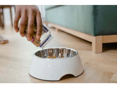 Dry dog food and DCM by PawSheets dog bed covers