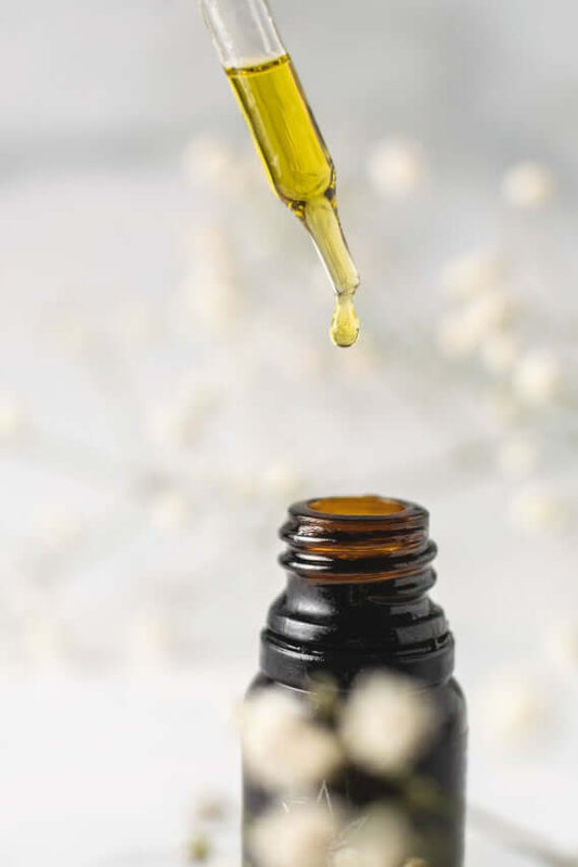 CBD Oil for Dogs - Is it safe?