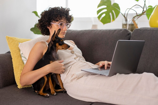 Digital Nomad Life with Pets: Tips for a Seamless Adventure
