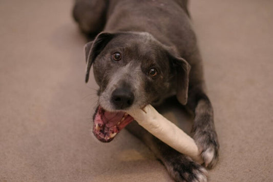 Rawhide bones can be a choking hazard