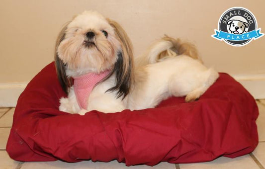 Dog Bed Sheets: An Unbiased Review of PawSheets® Dog Bed Covers