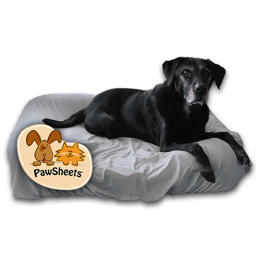 Large Gray PawSheet on Large Pet Fusion Dog Bed