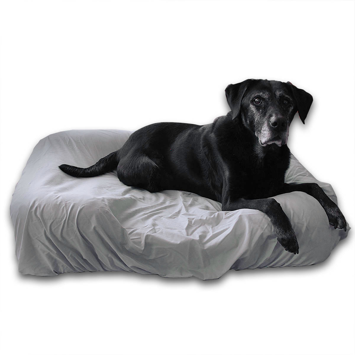 PawSheets® Special Offers - Discounted Items
