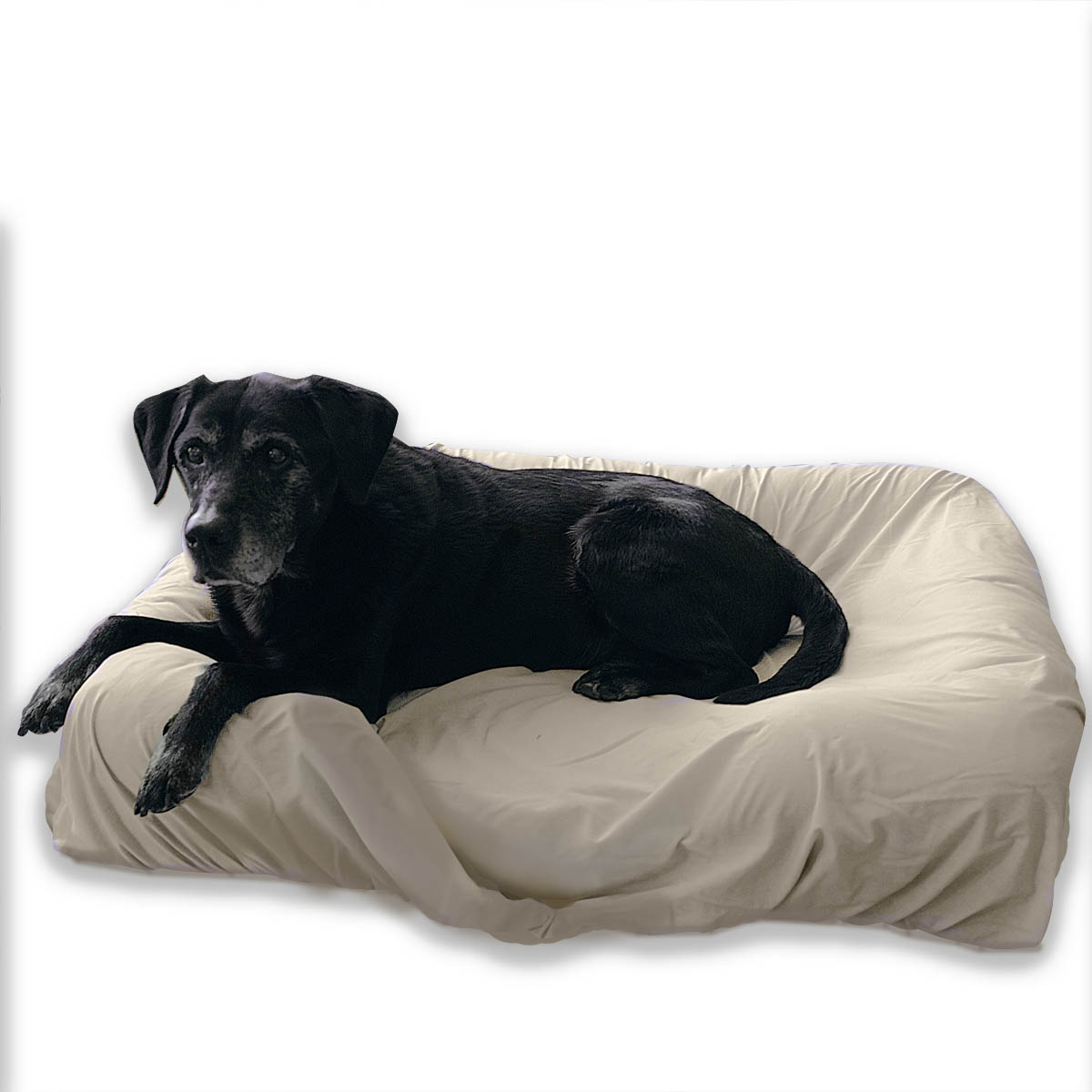PawSheets® Dog Bed Covers