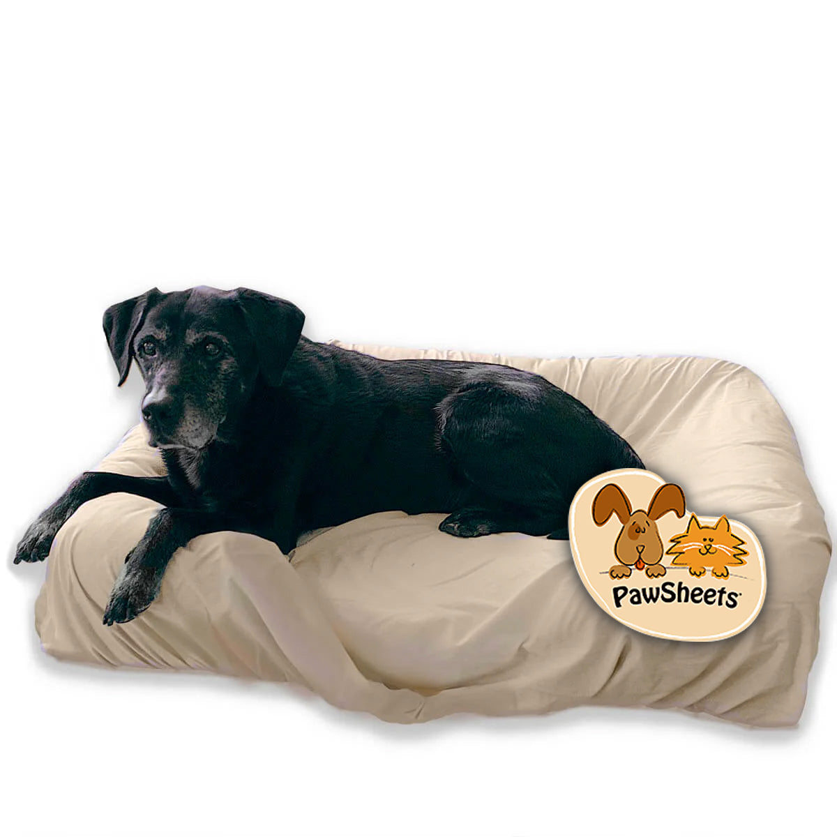 Large Sand PawSheet on Large Pet Fusion Dog Bed