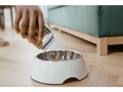 Dog Food Safety: How Often Should I Wash My Dog’s Bowl?