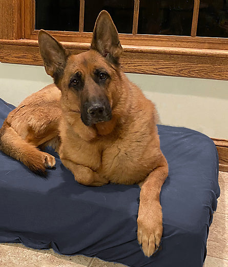 German shepard navy large dog bed sheet big barker dog bed