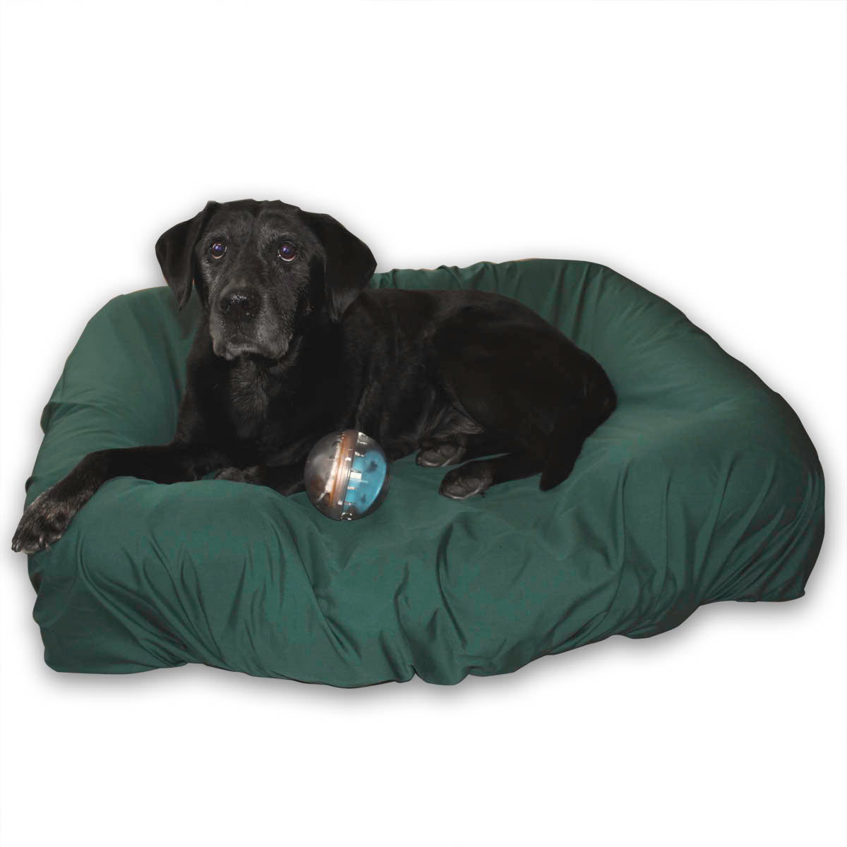 PawSheets® Special Offers - Discounted Items