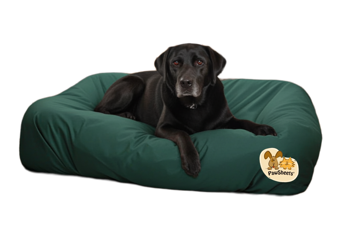 Dog on dog bed with hunter green PawSheets dog bed cover