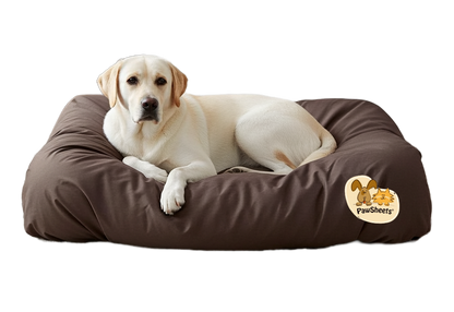 Dog on dog bed with chocolate brown PawSheets dog bed cover