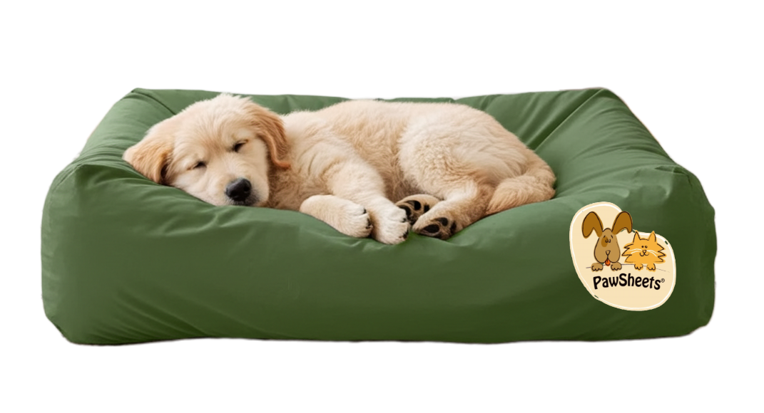Dog on dog bed with olive green PawSheets dog bed cover