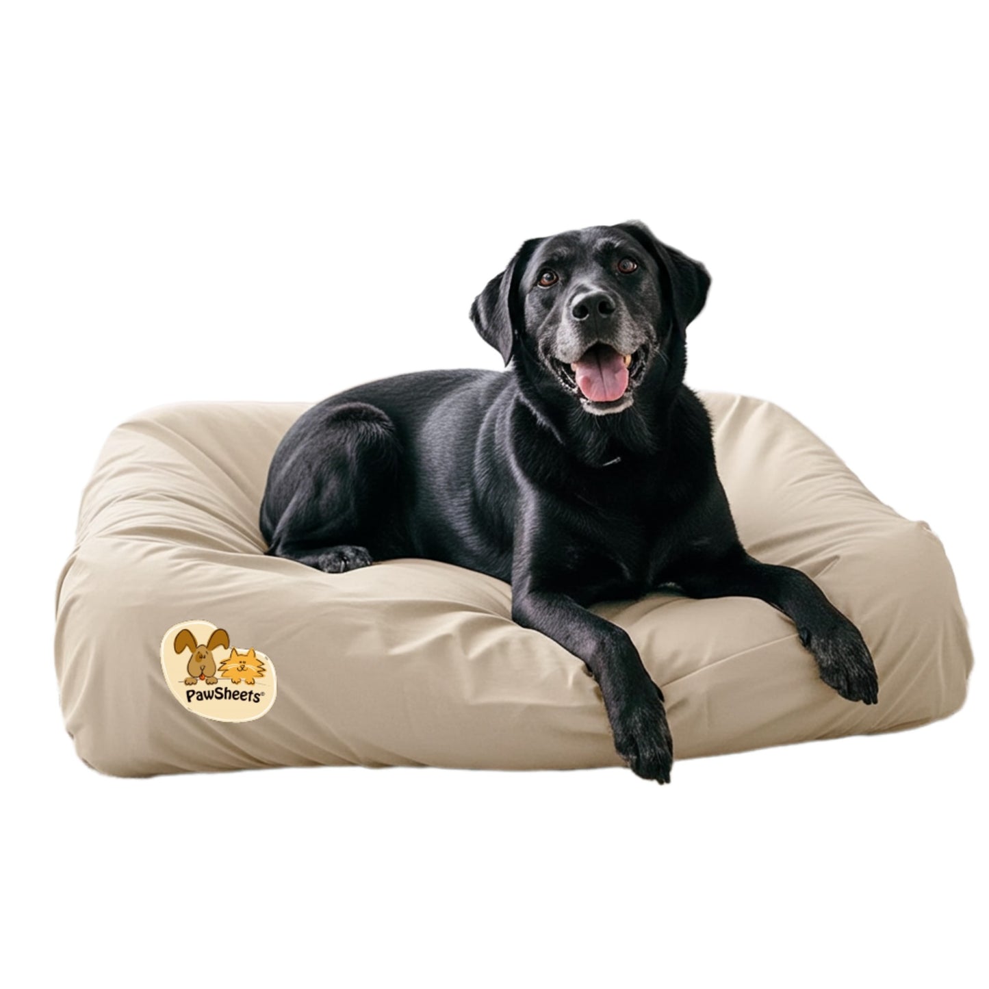 Black labrador retriever resting on a bolster style dog bed covered with a beige PawSheets dog bed cover