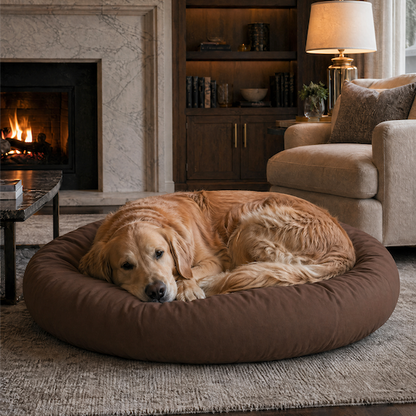 Dog lying on a dog bed covered with a brown PawSheet dog bed cover in a cozy living room