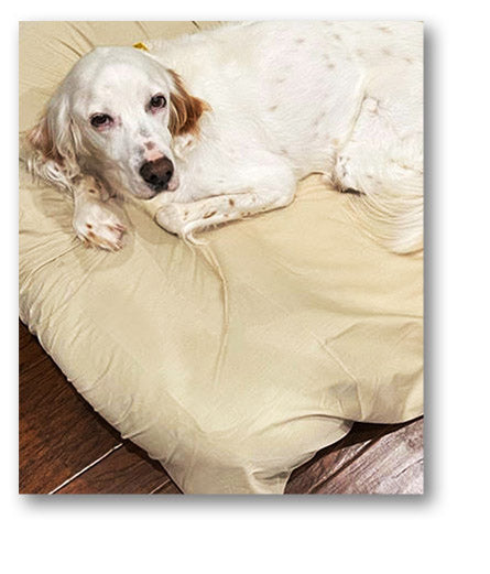 Washable dog bed cover in light color for large dog bed