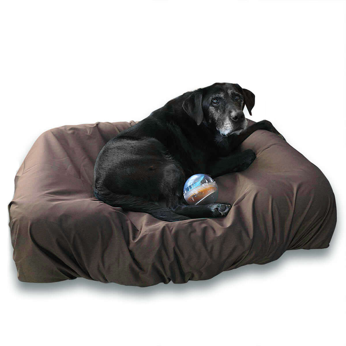 Chocolate Brown Fitted Dog Bed Sheet