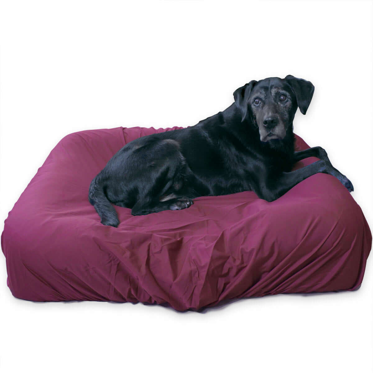 Burgundy Elastic Fitted Dog Bed Cover