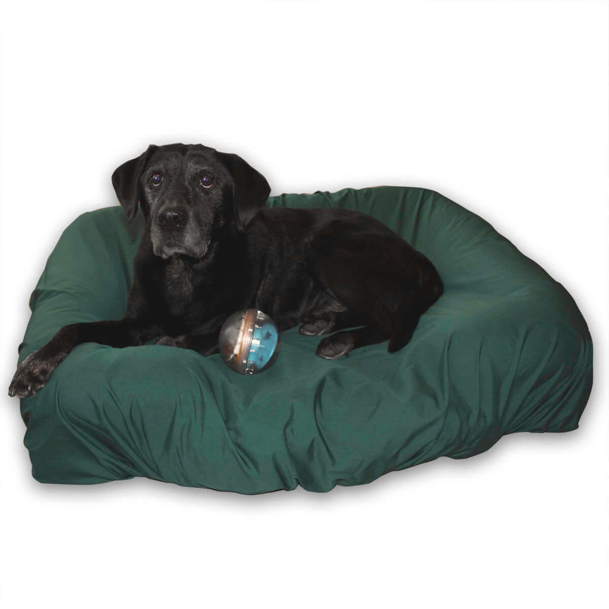 Hunter Green PawSheets on Large Pet Fusion Dog Bed