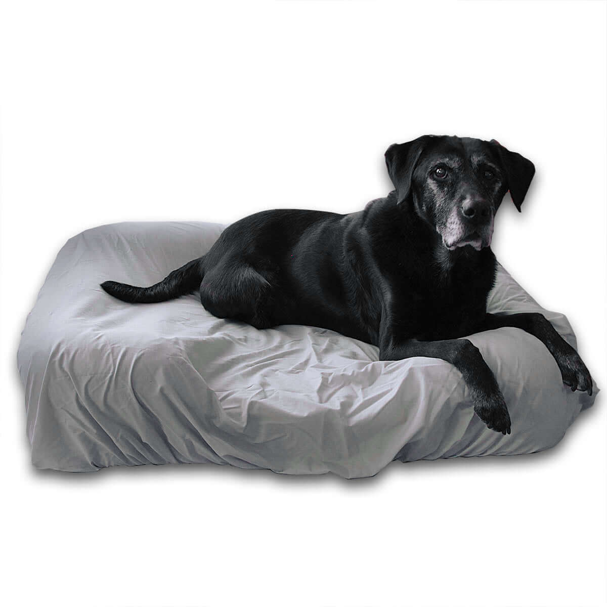 Gray Dog Bed Cover on Large Pet Fusion Dog Bed
