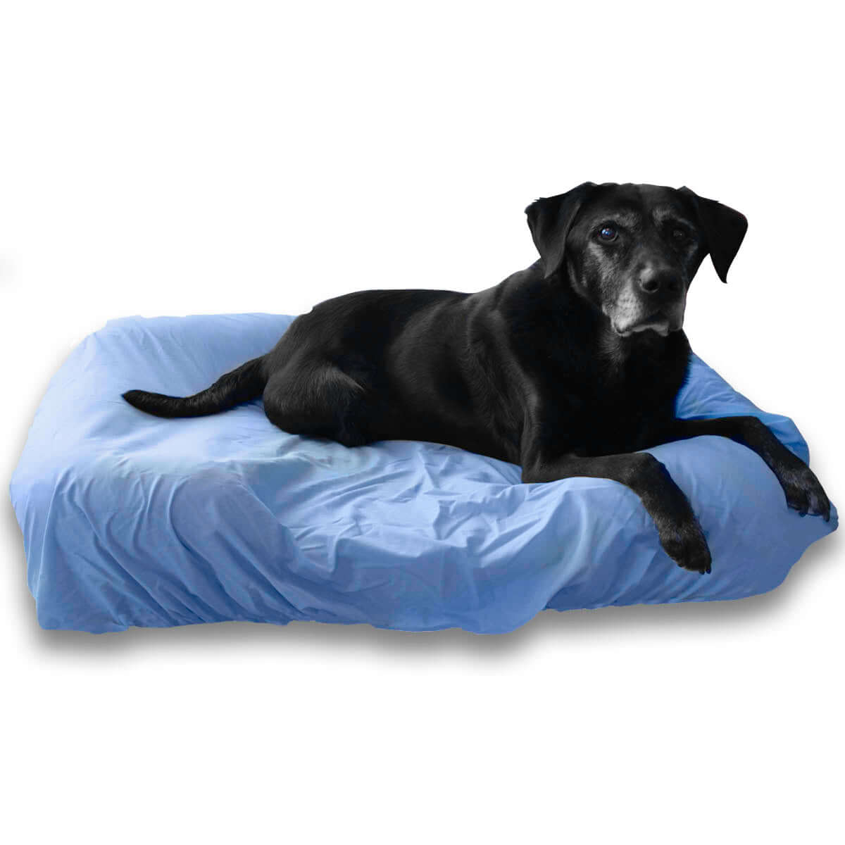 PawSheets Light Blue Dog Bed Sheet on Large Pet Fusion Dog Bed