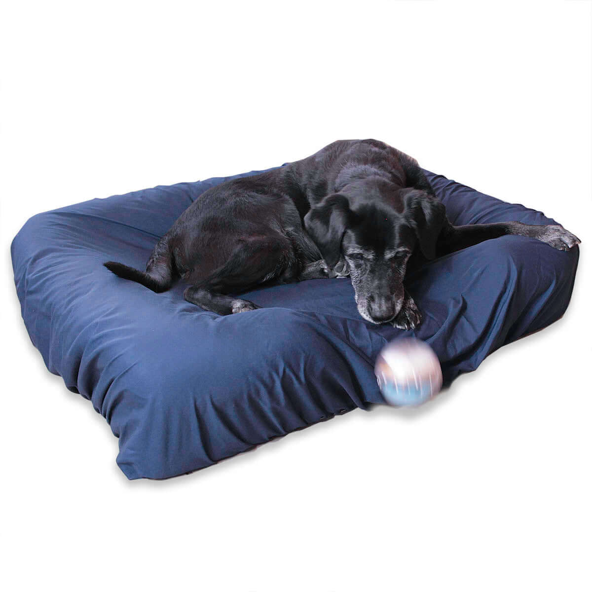 Navy Dog Bed Sheets on Large Pet Fusion Dog Bed