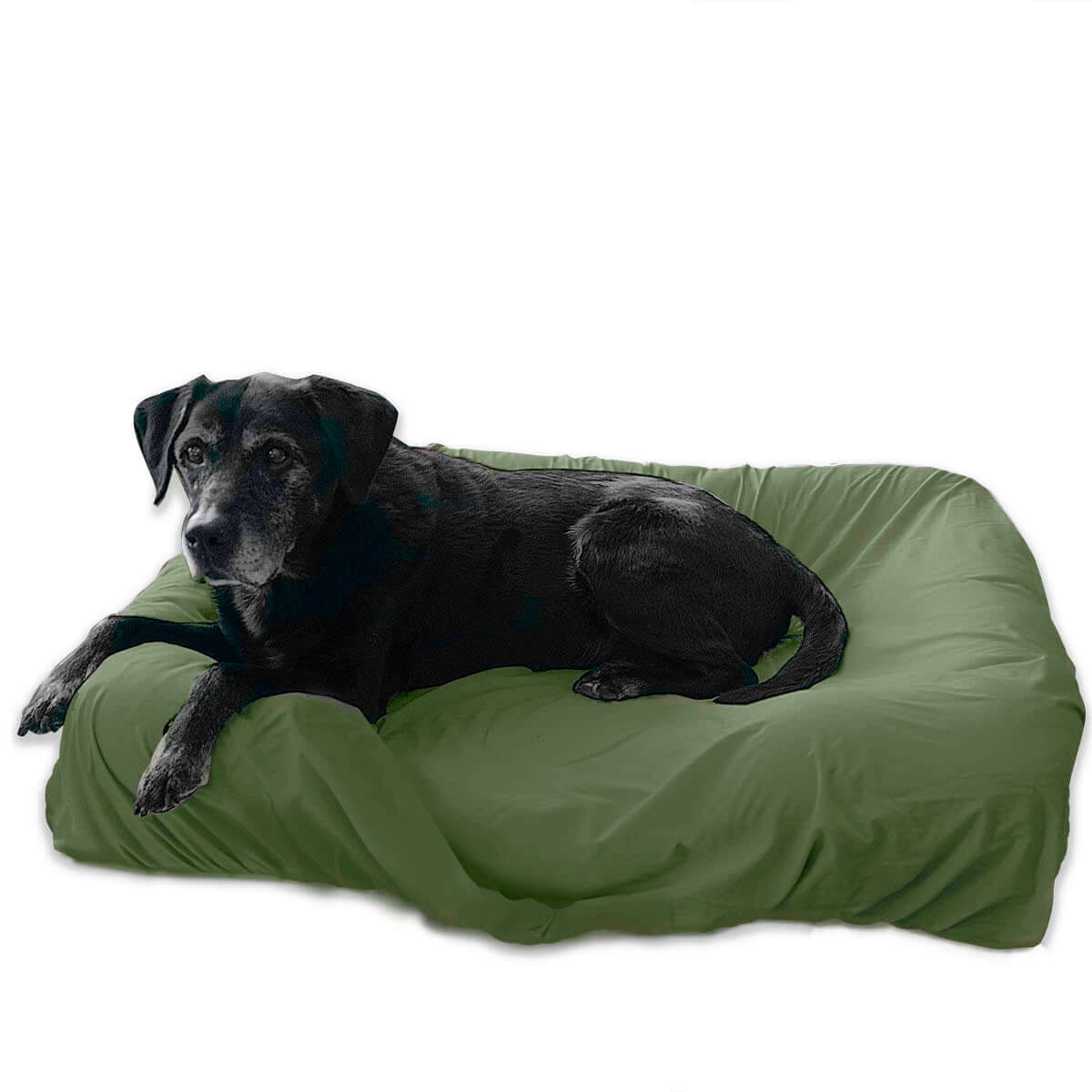 Olive Green Elastic Fitted Dog Bed Cover